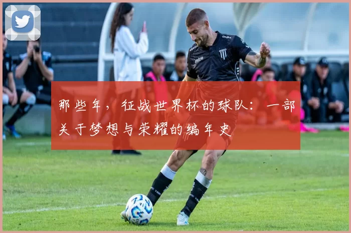 那些年，征战世界杯的球队：一部关于梦想与荣耀的编年史