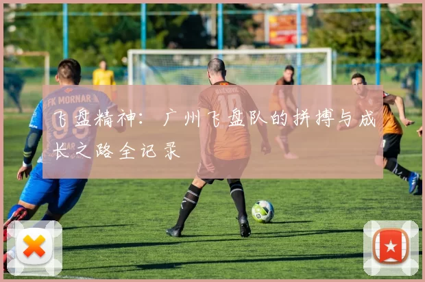飞盘精神:广州飞盘队的拼搏与成长之路全记录