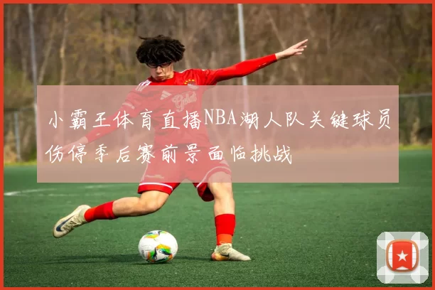 小霸王体育直播NBA湖人队关键球员伤停季后赛前景面临挑战