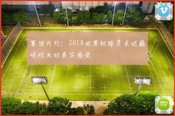 赛场内外:2018世界杯球员亲述巅峰对决的真实感受