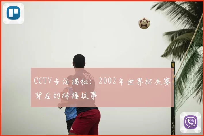CCTV专访揭秘：2002年世界杯决赛背后的转播故事
