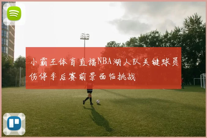 小霸王体育直播NBA湖人队关键球员伤停季后赛前景面临挑战
