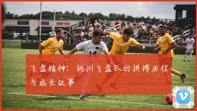 飞盘精神:杭州飞盘队的拼搏历程与成长故事
