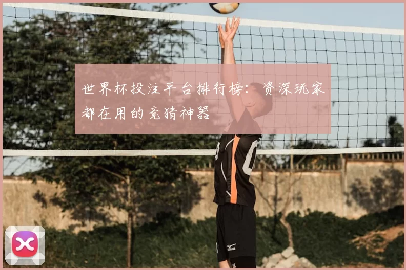 世界杯投注平台排行榜：资深玩家都在用的竞猜神器