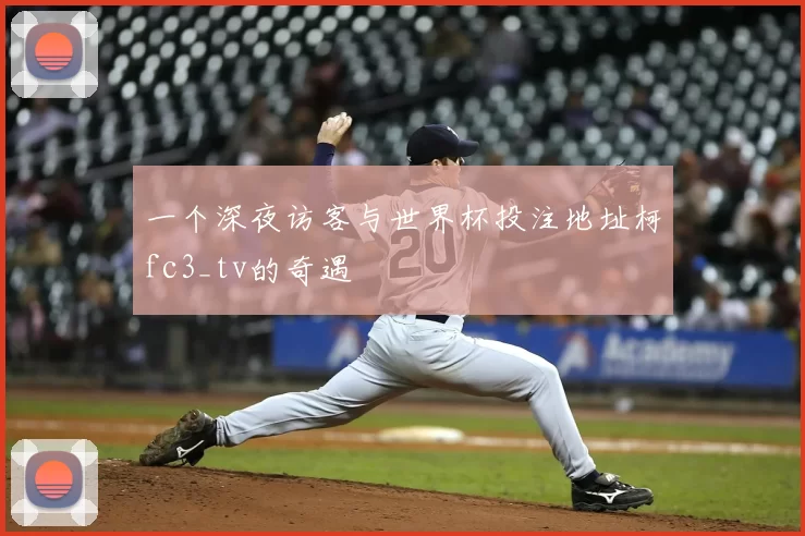 一个深夜访客与世界杯投注地址柯fc3_tv的奇遇
