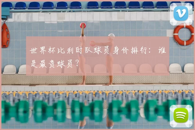 世界杯比利时队球员身价排行:谁是最贵球员?