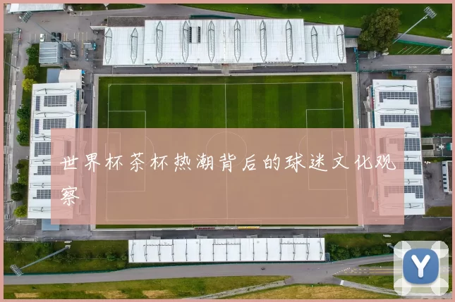 世界杯茶杯热潮背后的球迷文化观察