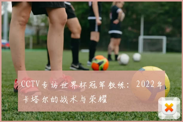 CCTV专访世界杯冠军教练：2022年卡塔尔的战术与荣耀